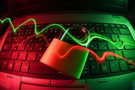 Top 10 loại cây cảnh lọc không khí tốt nhất cho phòng khách